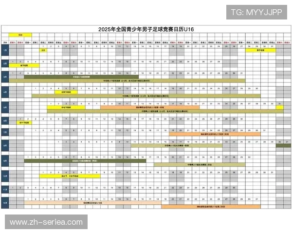 国家体育总局报告显示职业体育竞赛表演进出口额同比增79.5%，双向扩张态势明显
